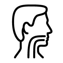 ENT