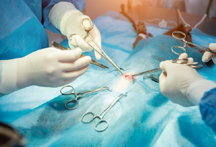 General Surgery