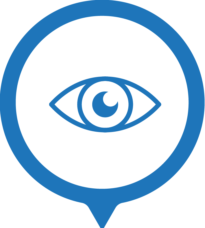 Vision