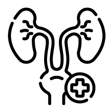 Urology