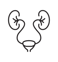 Nephrology Hospitals